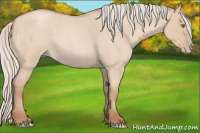 Horse Color:Silver Classic Champagne Roan Dun