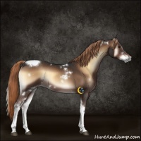 Horse Color:White Spotted Liver Red Onyx Tobiano 