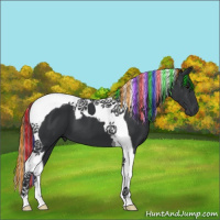 Horse Color:Painted Black Tobiano 