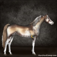 Horse Color:White Spotted Liver Red Onyx 