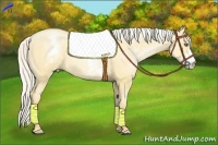 Horse Color:White Spotted Silver Amber Champagne Pearl Dun Frame 