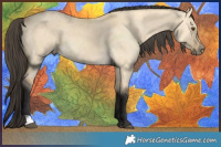 Horse Color:Buckskin Dun