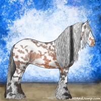 Horse Color:Bay Ice Sabino 