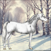 Horse Color:Liver Chestnut Mushroom Sabino