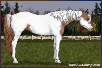 Horse Color:Chestnut Tobiano Frame