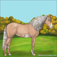 Horse Color:Silver Amber Champagne Frame 