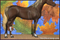 Horse Color:Gray Chestnut 