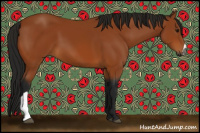 Horse Color:Gray Bay 