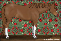 Horse Color:Gray Chestnut 
