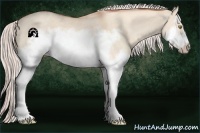 Horse Color:Silver Classic Champagne Dun Splash Frame 