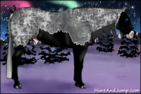 Horse Color:Black Ice Splash 