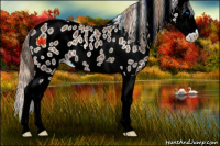Horse Color:Chestnut Splash Leopard 