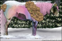Horse Color:Watercolor Black Splash