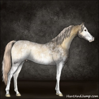 Horse Color:White Spotted Chocolate Palomino Onyx Mushroom Varnish