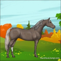 Horse Color:Silver Black 