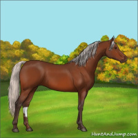 Horse Color:Silver Brown