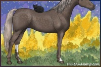 Horse Color:Silver Black 