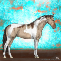 Horse Color:Bay Dun Tobiano Appaloosa Brindle 