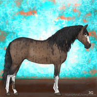 Horse Color:White Spotted Brown Dun Rabicano Brindle 