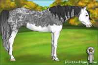 Horse Color:Black Ice Splash 