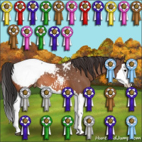 Horse Color:Bay Roan Splash Appaloosa Rabicano
