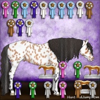 Horse Color:Bay Roan Leopard 
