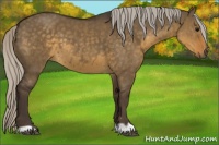 Horse Color:Silver Smoky Grullo 