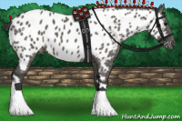Horse Color:White Spotted Grullo Blanket 