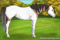 Horse Color:Bay Roan Splash Near Fewspot 
