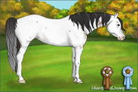 Horse Color:Bay Ice Splash Appaloosa 