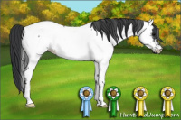 Horse Color:Blue Roan Fewspot Rabicano 