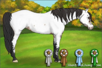 Horse Color:Bay Roan Fewspot 