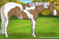 Horse Color:Silver Smoky Black Sabino Tobiano