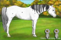 Horse Color:Black Splash Fewspot 