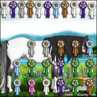 Horse Color:Bay Roan Splash Appaloosa Rabicano