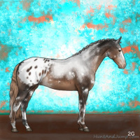 Horse Color:White Spotted Liver Chestnut Appaloosa 
