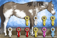 Horse Color:White Spotted Smoky Grullo Roan Splash Frame 
