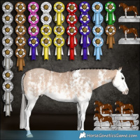 Horse Color:Bay Dun Sabino Splash Rabicano