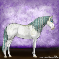 Horse Color:Painted Silver Sable Champagne Dun Sabino Splash Appaloosa Rabicano Brindle 
