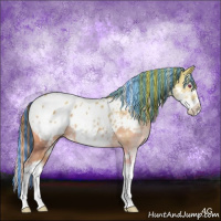 Horse Color:Painted Classic Cream Champagne Chinchilla Dun Sabino Splash Appaloosa 