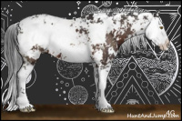 Horse Color:Brown Sabino 