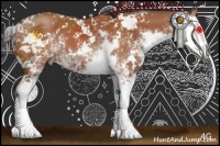 Horse Color:Bay Sabino Splash 
