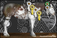 Horse Color:Brown Sabino Splash Rabicano 