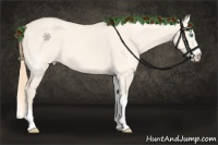 Horse Color:White Spotted Perlino Dun Splash Appaloosa