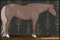 Horse Color:Chocolate Silver Black