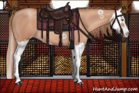 Horse Color:Gold Champagne Splash 