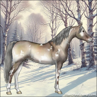 Horse Color:White Spotted Liver Red Dun Onyx Mushroom 