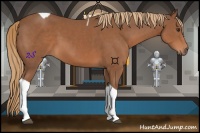 Horse Color:Chestnut Tobiano