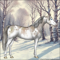 Horse Color:White Spotted Liver Red Dun Mushroom Splash Rabicano