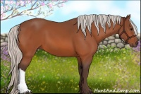 Horse Color:Silver Bay